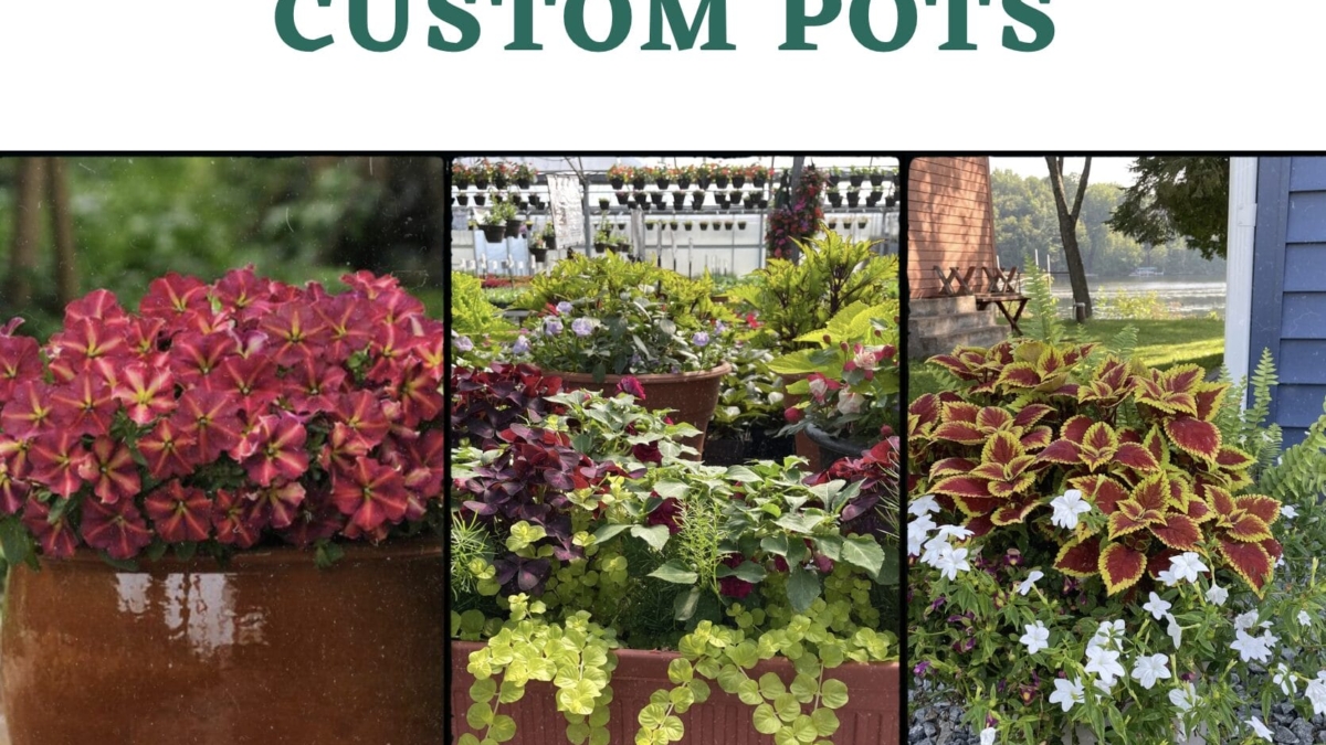 custom pots